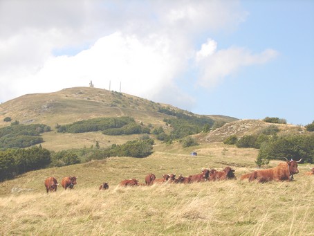 La route des crtes - Photo BERTHEVILLE